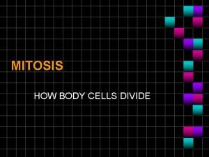 MITOSIS HOW BODY CELLS DIVIDE INTERPHASE CELL IS