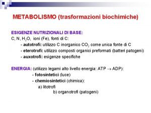 METABOLISMO trasformazioni biochimiche ESIGENZE NUTRIZIONALI DI BASE C