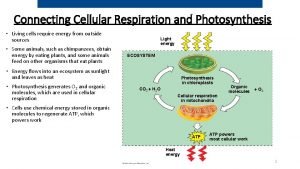 Connecting Cellular Respiration and Photosynthesis Living cells require