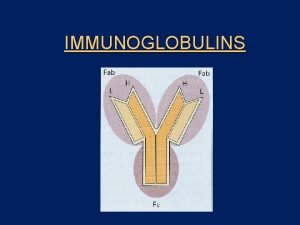 IMMUNOGLOBULINS Immunoglobulins l Humoral basis of immunity 19