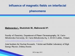 Influence of magnetic fields on interfacial phenomena Malinowska