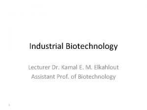 Industrial Biotechnology Lecturer Dr Kamal E M Elkahlout