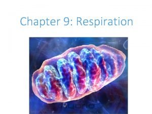 Where does the citric acid cycle occur