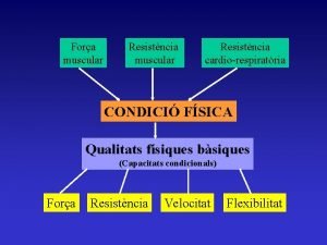 Fora muscular Resistncia cardiorespiratria CONDICI FSICA Qualitats fsiques