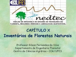 CAPTULO X Inventrios de Florestas Naturais Professor Gilson