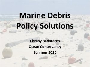 Ocean conservancy internship