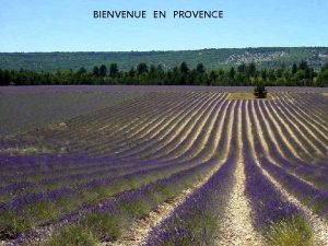 BIENVENUE EN PROVENCE Martigues Ferrires Les Tamaris Sausset