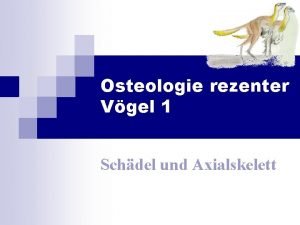 Osteologie rezenter Vgel 1 Schdel und Axialskelett Prmissen