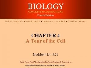 BIOLOGY CONCEPTS CONNECTIONS Fourth Edition Neil A Campbell