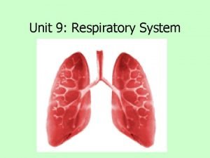 Unit 9 respiratory system