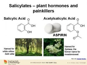 Salicylates plant hormones and painkillers Salicylic Acid Acetylsalicylic