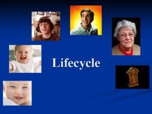 Lifecycle Product lifecycle Development stage Lots of market Lifecycle Product lifecycle Development stage Lots of market