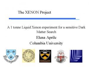 The XENON Project A 1 tonne Liquid Xenon