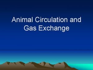 Animal Circulation and Gas Exchange Cardiovascular System Heart