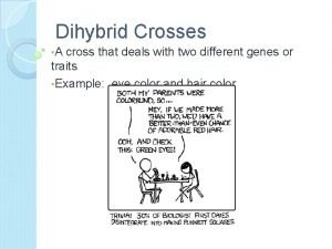 Dihybrid cross