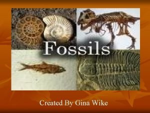 Created By Gina Wike Fossils n n A