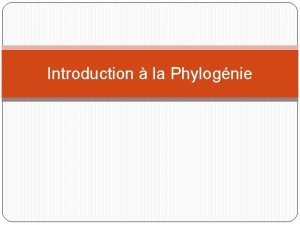 Introduction la Phylognie Table des matires Introduction la