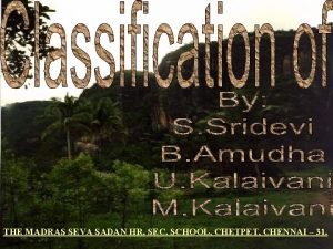 THE MADRAS SEVA SADAN HR SEC SCHOOL CHETPET