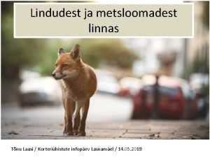 Lindudest ja metsloomadest linnas Tnu Laasi Korterihistute infopev