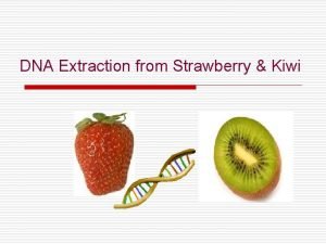 DNA Extraction from Strawberry Kiwi DNA Lab objectives