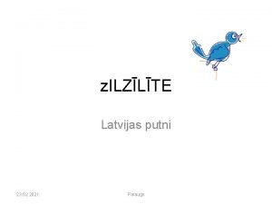 z ILZLTE Latvijas putni 23 02 2021 Paraugs