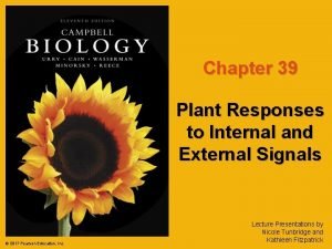 Chapter 39 Plant Responses to Internal and External