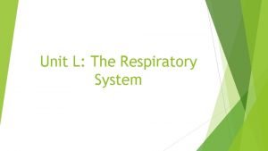 Bozeman respiratory system