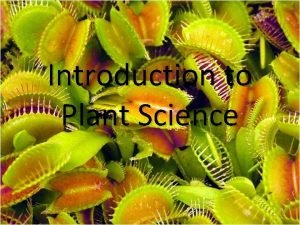 Introduction to Plant Science Horticulture Word first used