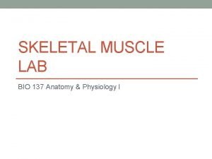 Radial tuberosity