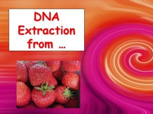 DNA Extraction from Is DNA in My Food