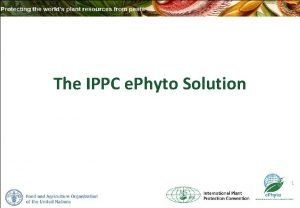 The IPPC e Phyto Solution 1 The IPPC