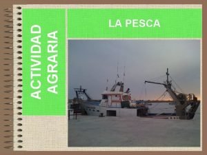 ACTIVIDAD AGRARIA LA PESCA DEFINICIN La pesca es