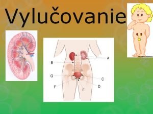 Vyluovanie V udskom tele vznik pri premene ltok