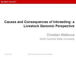 Causes and Consequences of Inbreeding a Livestock Genomic