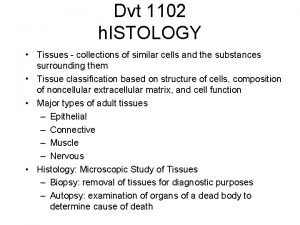 Blood tissue description