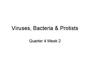 Viruses Bacteria Protists Quarter 4 Week 2 Viruses