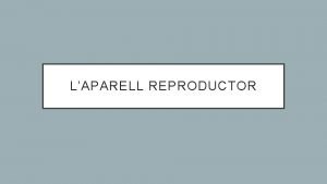 LAPARELL REPRODUCTOR CARACTERSTIQUES Els xiquets i les xiquetes