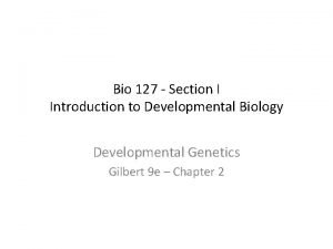 Bio 127 Section I Introduction to Developmental Biology