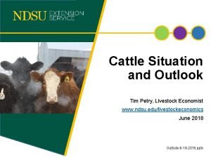 Cattle Situation and Outlook Tim Petry Livestock Economist