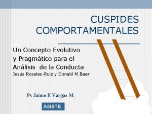 Cuspides fundamentales