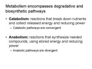Metabolism encompasses degradative and biosynthetic pathways Catabolism reactions