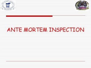 ANTE MORTEM INSPECTION Antemortem Inspection q Antemortem means