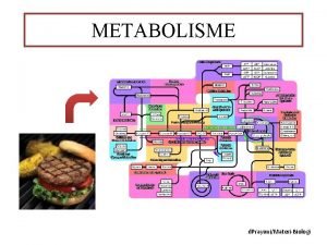 METABOLISME d PrayuniMateriBiologi Peta Konsep Katabolisme Respirasi aerob