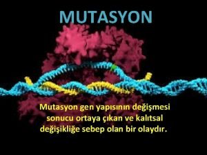 MUTASYON Mutasyon gen yapsnn deimesi sonucu ortaya kan
