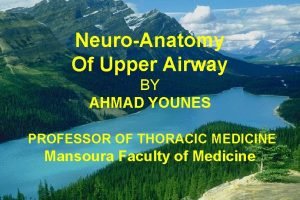 NeuroAnatomy Of Upper Airway BY AHMAD YOUNES PROFESSOR