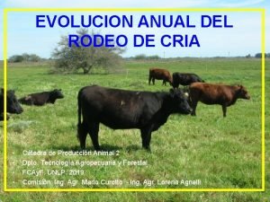 EVOLUCION ANUAL DEL RODEO DE CRIA Ctedra de