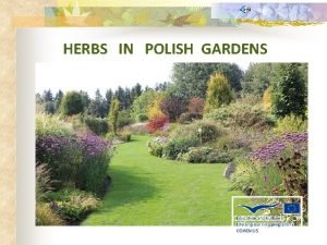 HERBS IN POLISH GARDENS Herbs can be a