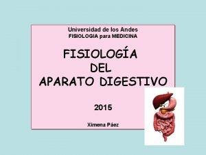 Universidad de los Andes FISIOLOGIA para MEDICINA FISIOLOGA