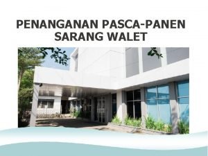 PENANGANAN PASCAPANEN SARANG WALET MANFAAT SARANG WALET Sebagai