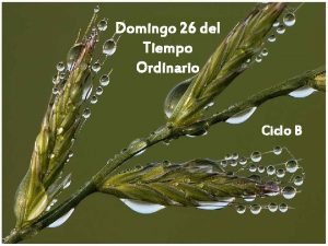 Domingo 26 tiempo ordinario ciclo b